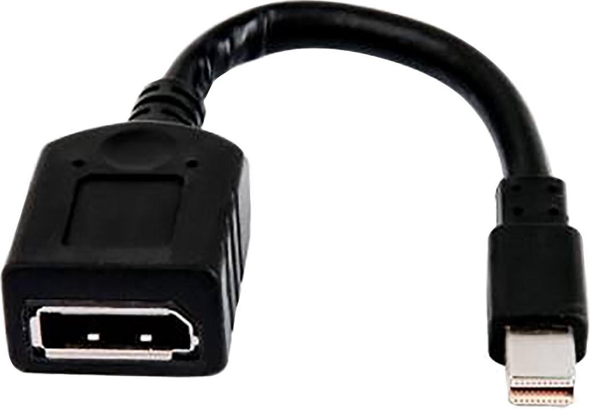 HP Mini-DisplayPort naar DisplayPort adapter - 2MY05AA